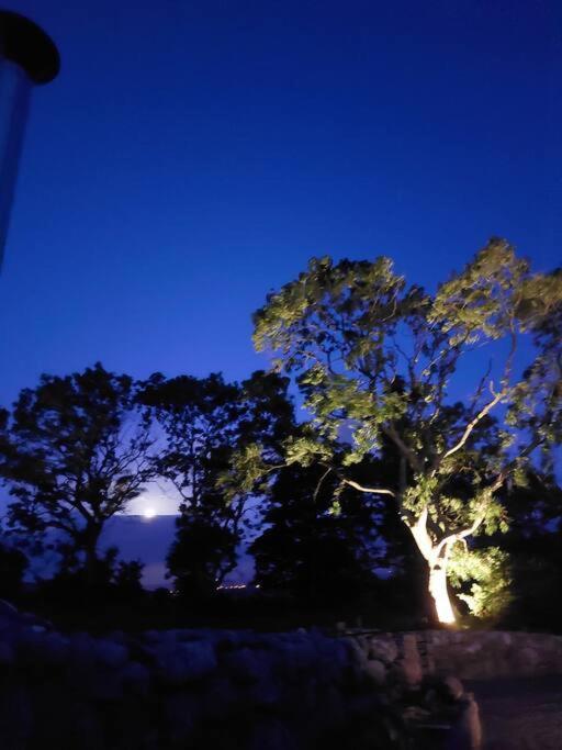 Wildthorn Cottage Moyad 外观 照片